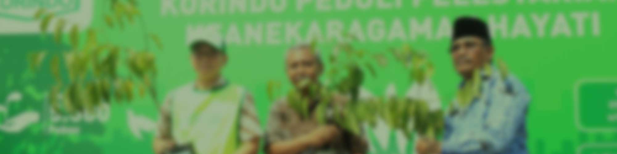 Korindo Carries Out Greening Action in Jakarta